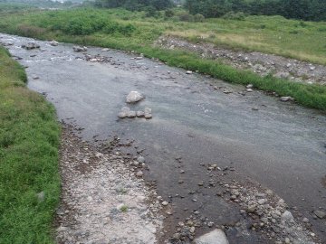 ������̈����@�w�F���@����x