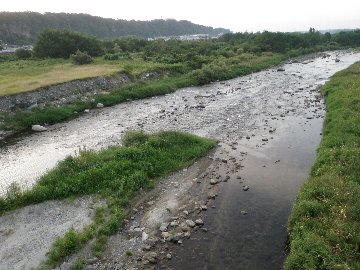 ������̈����@�w�F���@����x