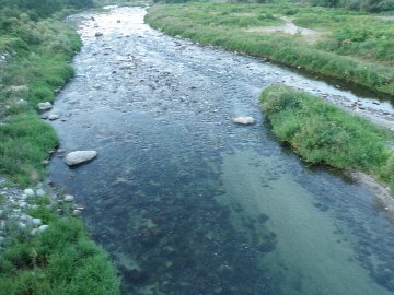 ������̈����@�w�F���@����x