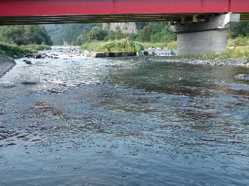 ������̈����@�w�F���@����x