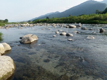 ������̈����@�w�F���@����x