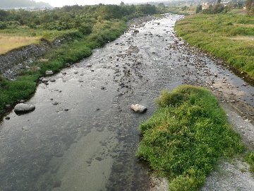 ������̈����@�w�F���@����x