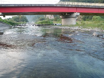 ������̈����@�w�F���@����x