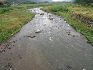 ������̈����@�w�F���@����x