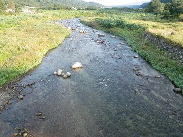 ������̈����@�w�F���@����x