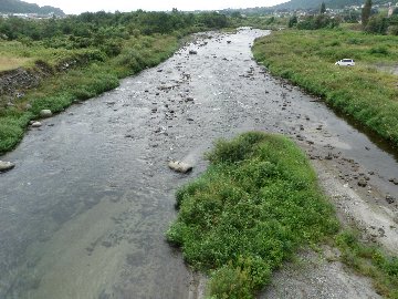 ������̈����@�w�F���@����x