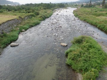 ������̈����@�w�F���@����x