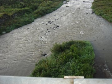 ������̈����@�w�F���@����x