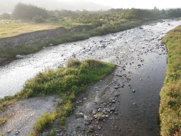 ������̈����@�w�F���@����x