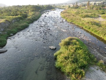 ������̈����@�w�F���@����x