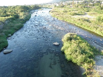 ������̈����@�w�F���@����x