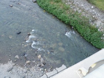 ������̈����@�w�F���@����x