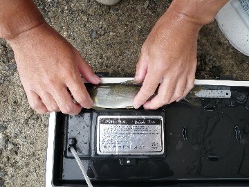 ������̈����@�w�F���@����x