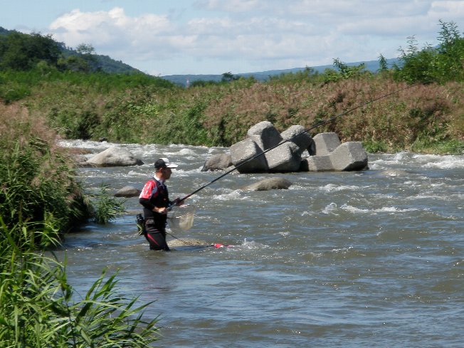 ������̈����@�w�F���@����x