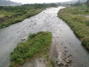 ������̈����@�w�F���@����x