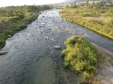 ������̈����@�w�F���@����x