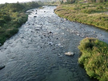 ������̈����@�w�F���@����x