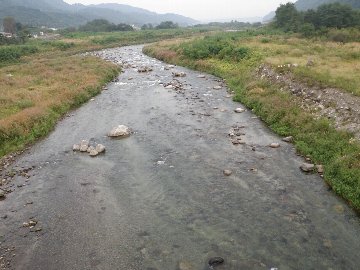 ������̈����@�w�F���@����x