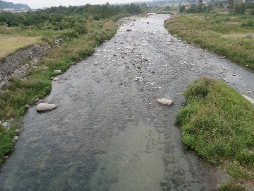 ������̈����@�w�F���@����x