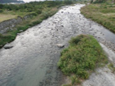 ������̈����@�w�F���@����x