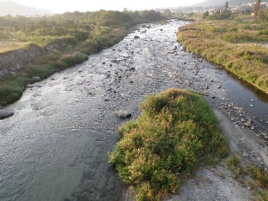 ������̈����@�w�F���@����x