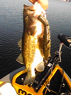 ������̈����@�w�F���@����x