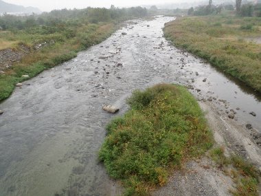 ������̈����@�w�F���@����x