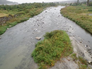 ������̈����@�w�F���@����x