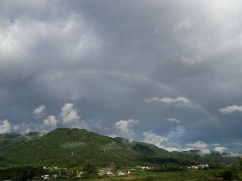 ������̈����@�w�F���@����x