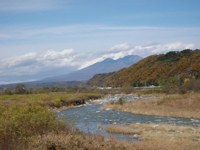 ������̈����@�w�F���@����x