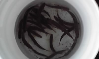 ̈@wF@x