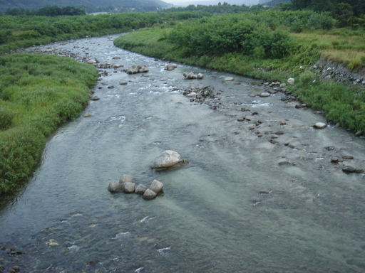 ������̈����@�w�F���@����x