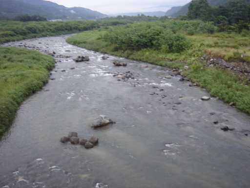 ������̈����@�w�F���@����x