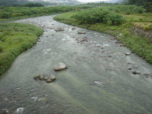 ������̈����@�w�F���@����x