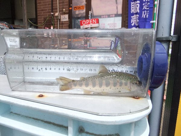 ̈@wF@x