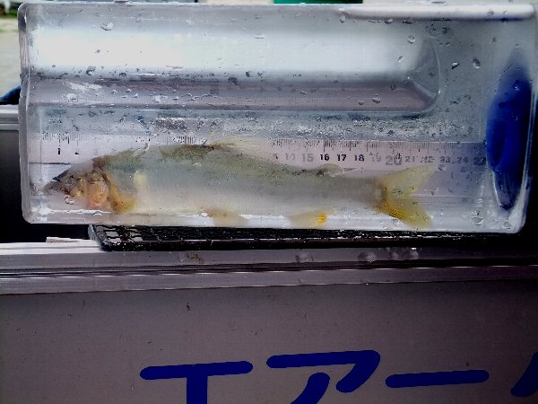 ̈@wF@x