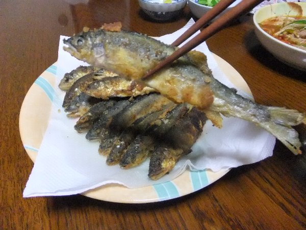̈@wF@x