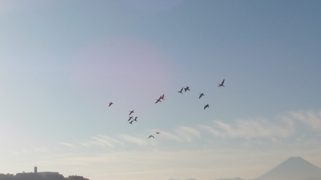 ̈@wF@x