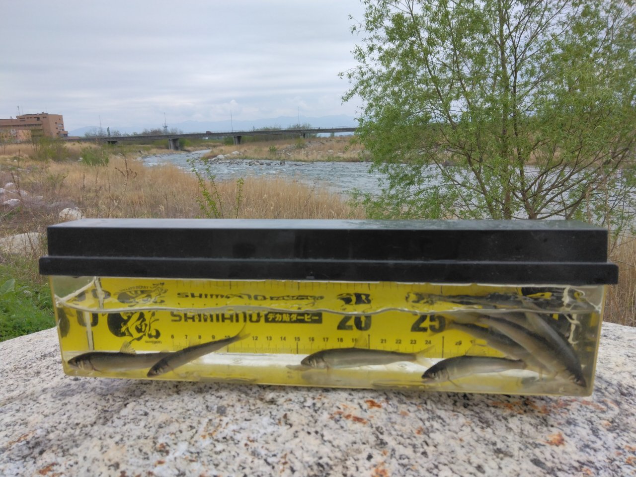 ������̕������n�܂�܂����i������̈����@�w�F���@����x�j