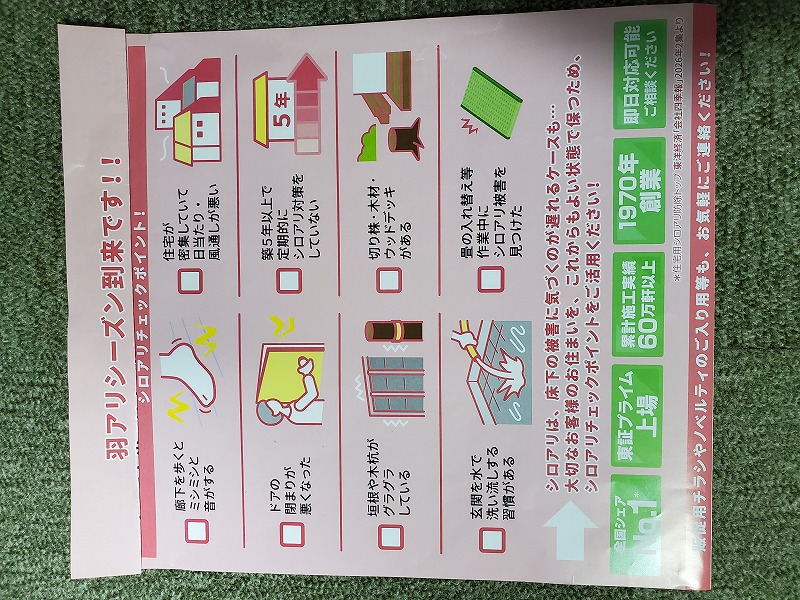 �V���A���o�X�^�[�Y�@KCR�i�����Z�������f���@ TOTO����ٸ���KCR�j