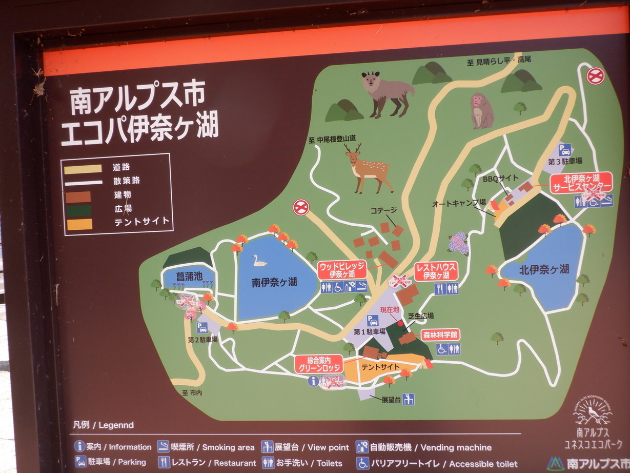 �R�A���̓m�C�܂�����L