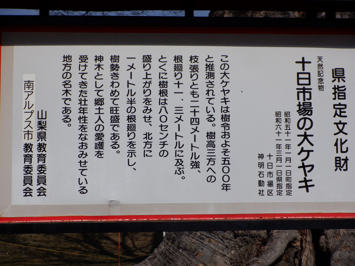 �\���s��̑�P���L�i�R�A���̓m�C�܂�����L�j