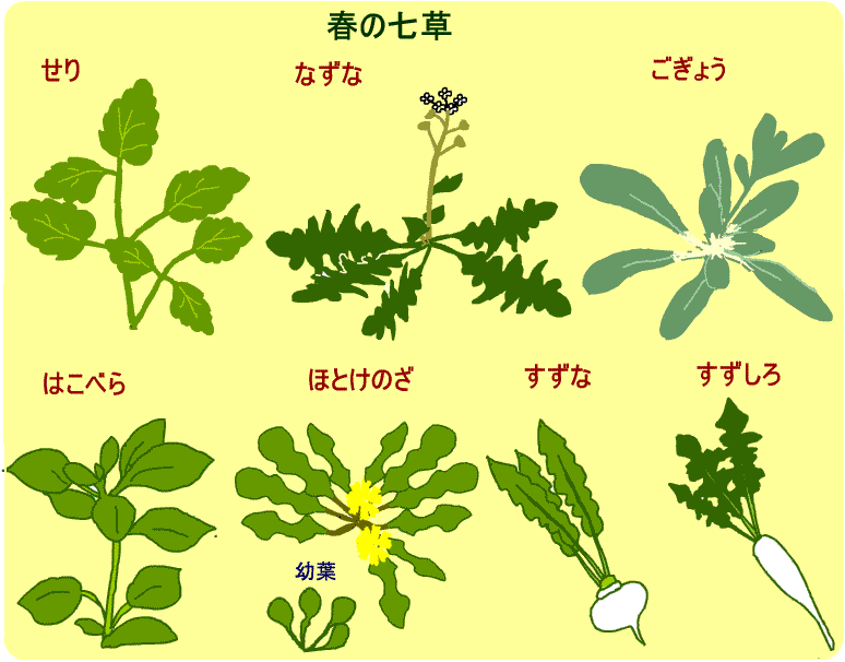 b{snsꋦuO