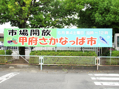 b{snsꋦuO