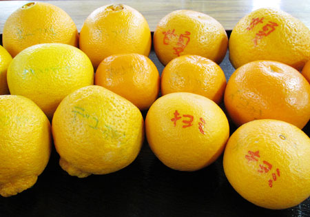 b{snsꋦuO