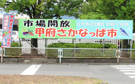 b{snsꋦuO