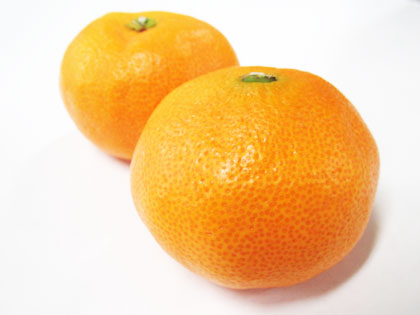 b{snsꋦuO
