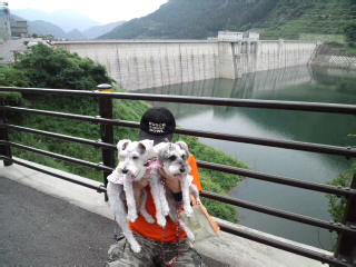 �����́u���^�r�N�v�i�������疺�j