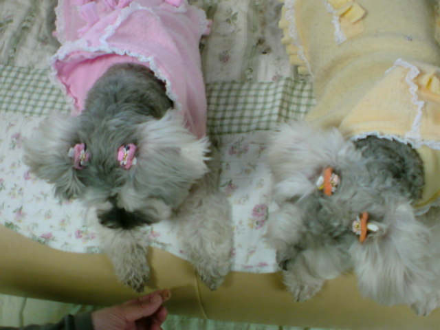 �����́u���^�r�N�v�i�������疺�j