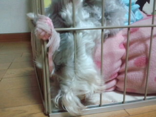 ́u^rNvi疺j